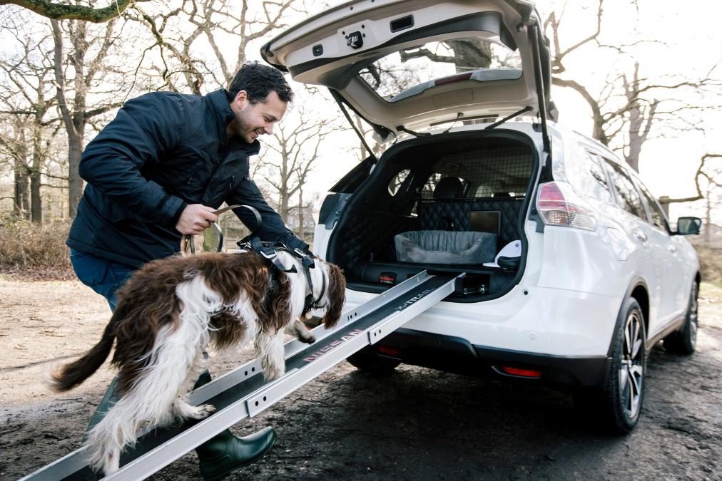 Nissan Designs Car for Dogs and the People who Love Dogs