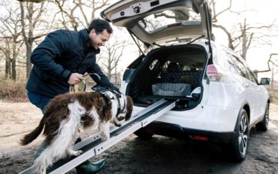 Nissan Designs Car for Dogs and the People who Love Dogs